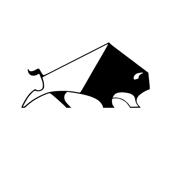 Roamin' Bison Workshop