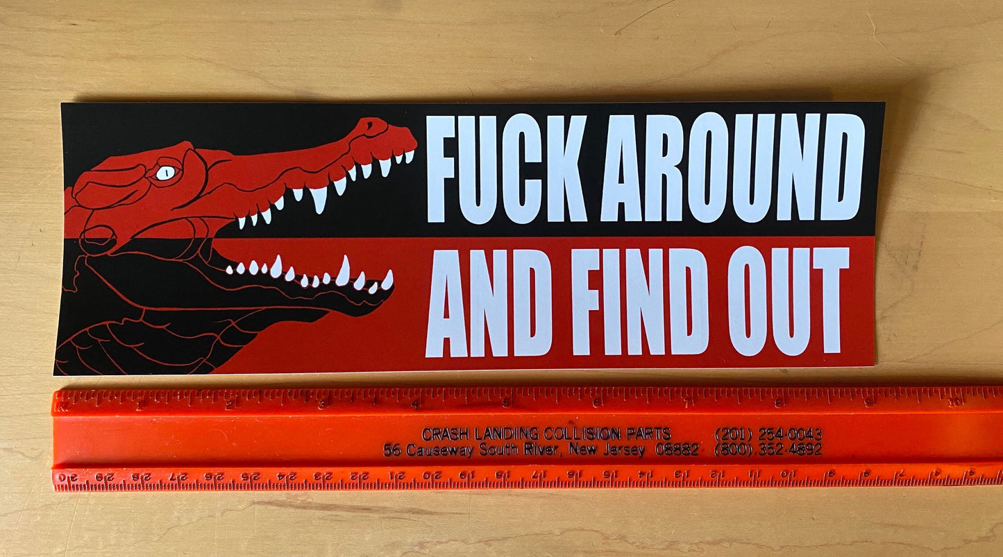 Fuck Around and Find Out Vinyl Bumper Sticker | Political Sticker | FREE SHIPPING
