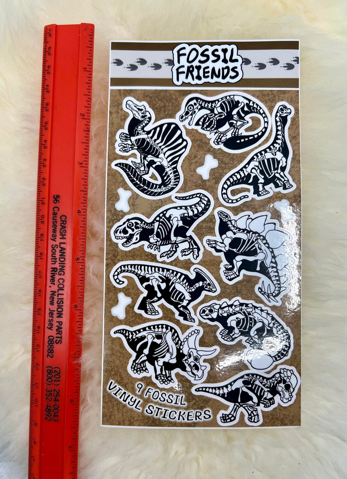 Dinosaur Fossil Sticker Sheet | Dinosaur Sticker | Fossil Sticker | Bones Sticker | FREE SHIPPING