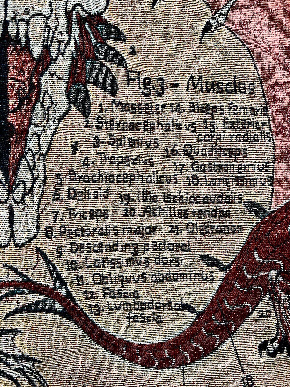 The Anatomy of a Dragon Tapestry / Blanket | Dragon Blanket | Fantasy Art | FREE SHIPPING