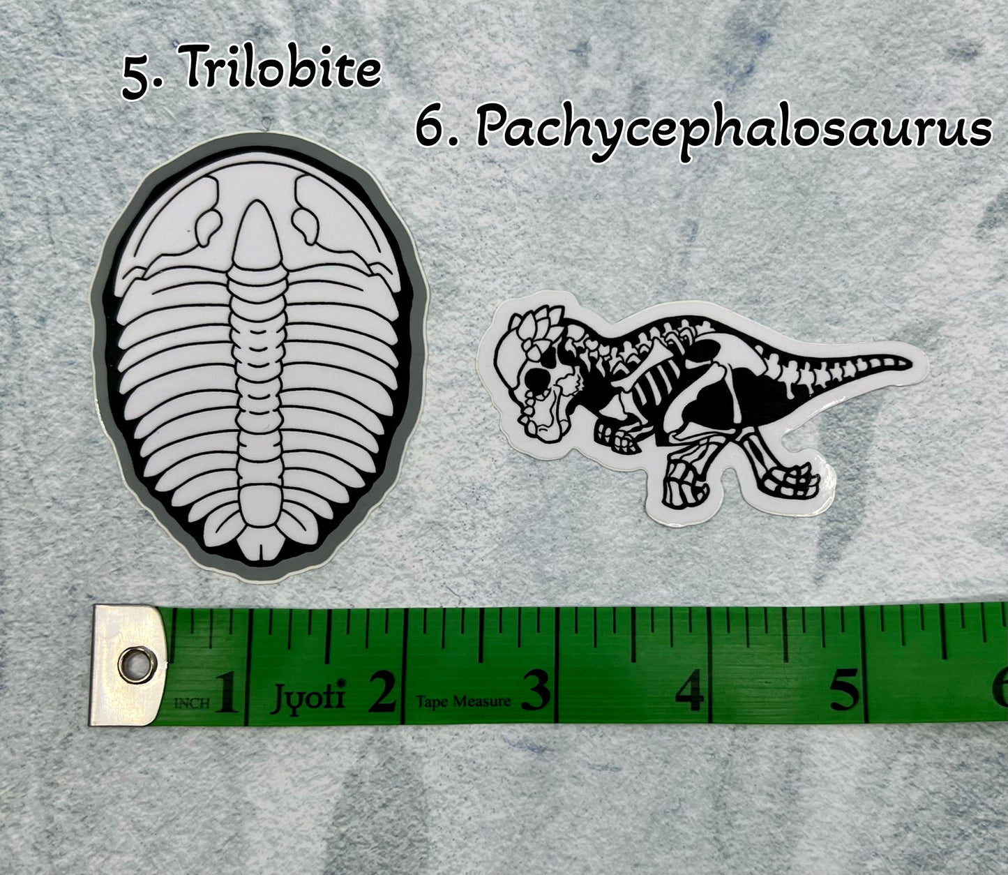 Dinosaur Vinyl Sticker | Fossil Stickers | Dinosaur Sticker | FREE SHIPPING