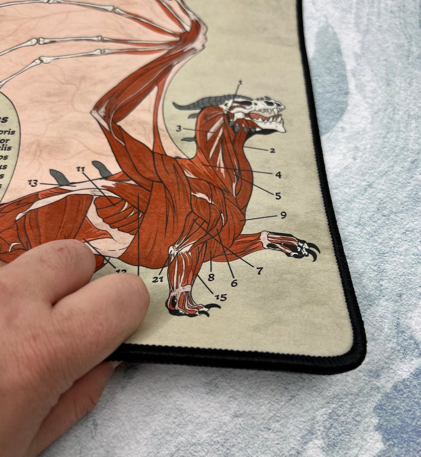 Dragon Playmat | TTRPG Tabletop Mat | Anatomy of a Dragon | FREE SHIPPING