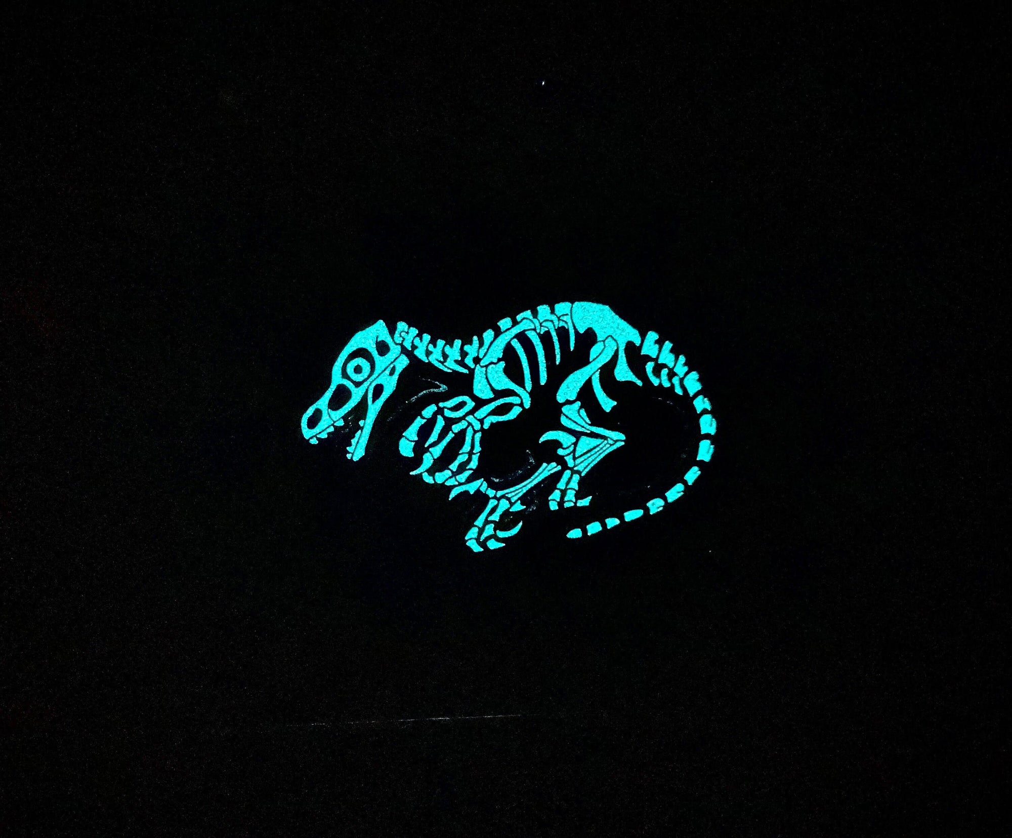 Velociraptor Soft Enamel Pin | Raptor Pin | Dinosaur Pin | Fossil Pin