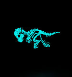 Pachycephalosaurus Soft Enamel Pin | Dinosaur Pin | Fossil Pin