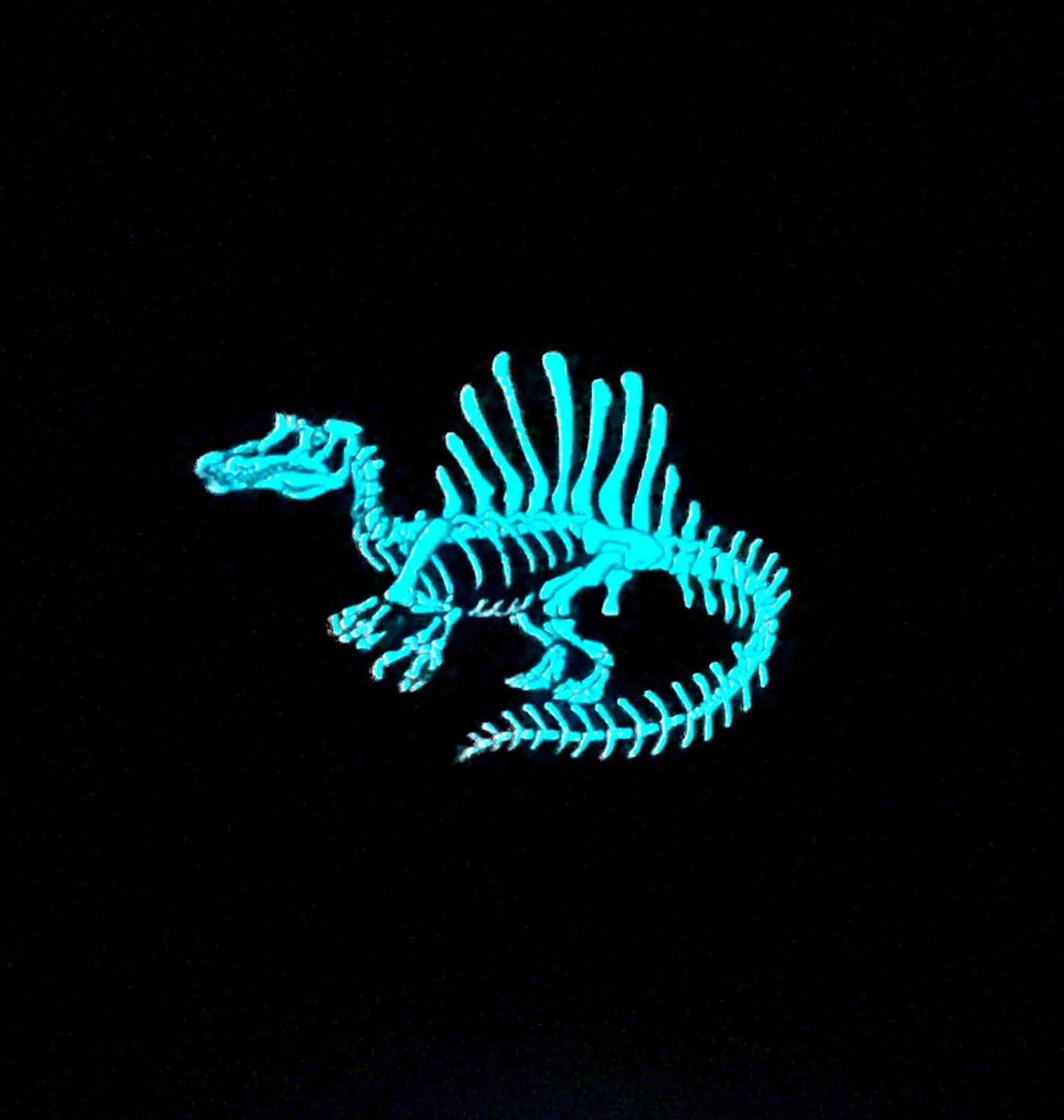 Spinosaurus Soft Enamel Pin | Spinosaurus Pin | Dinosaur Pin | Fossil Pin
