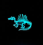 Spinosaurus Soft Enamel Pin | Spinosaurus Pin | Dinosaur Pin | Fossil Pin