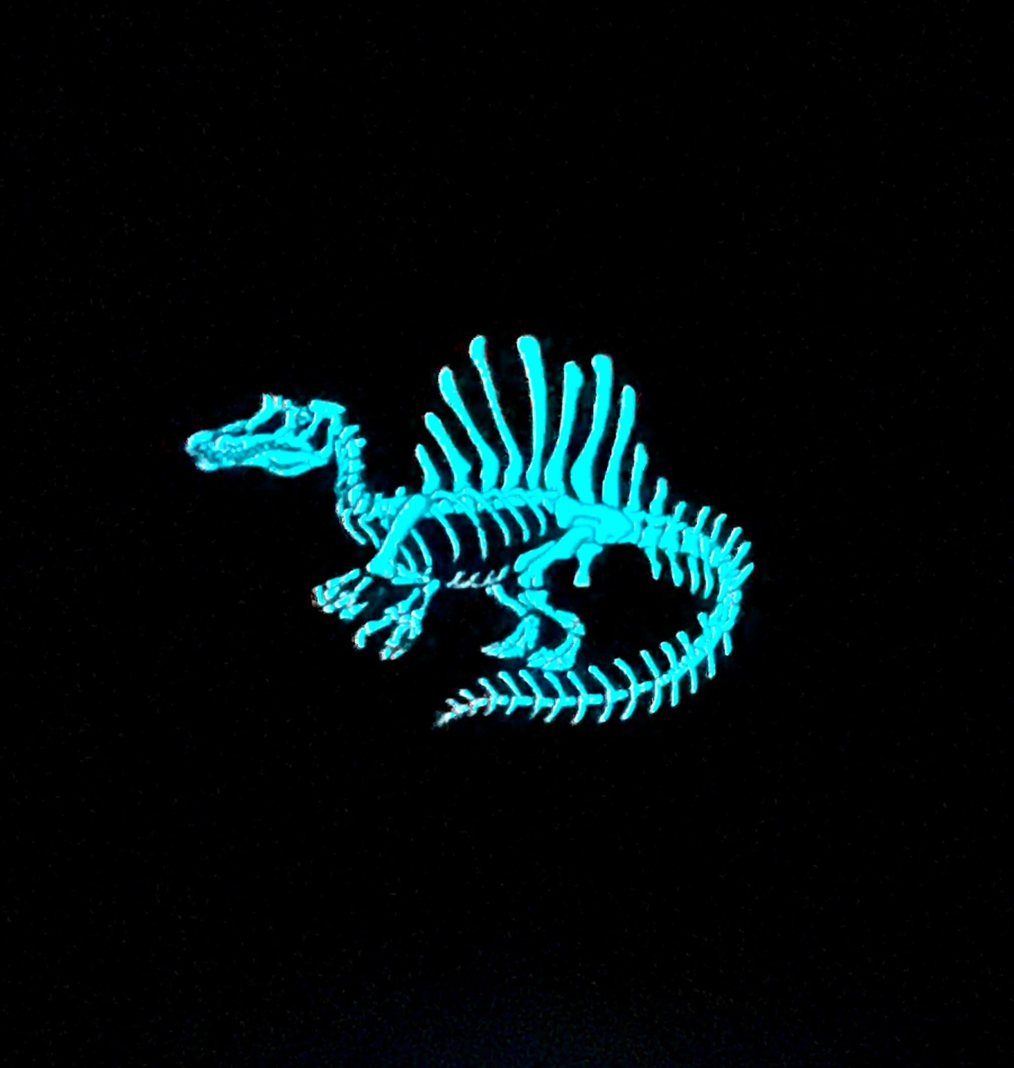 Spinosaurus Soft Enamel Pin | Spinosaurus Pin | Dinosaur Pin | Fossil Pin