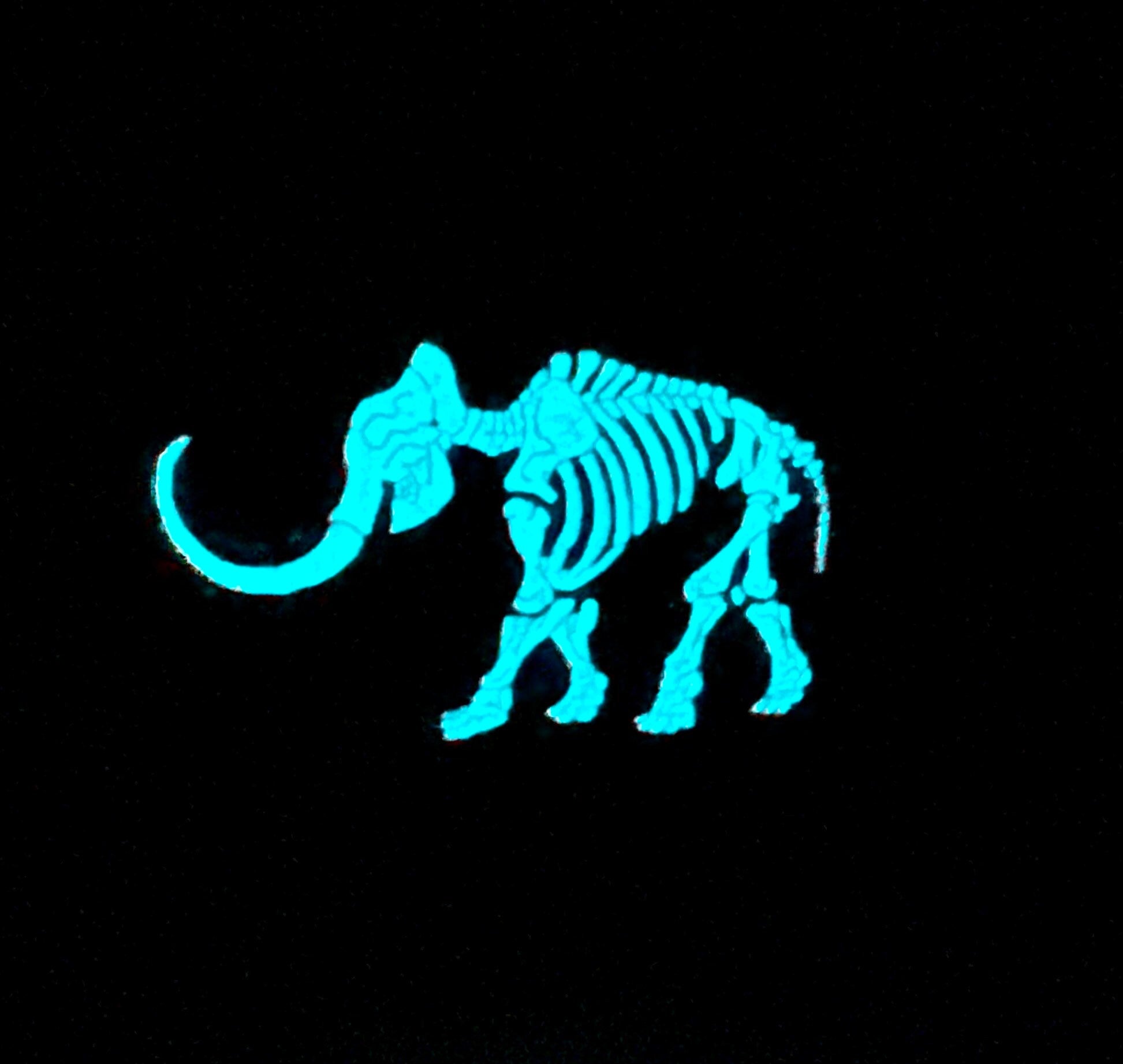 Mammoth Soft Enamel Pin | Mammoth Pin | Fossil Pin | Ice Age