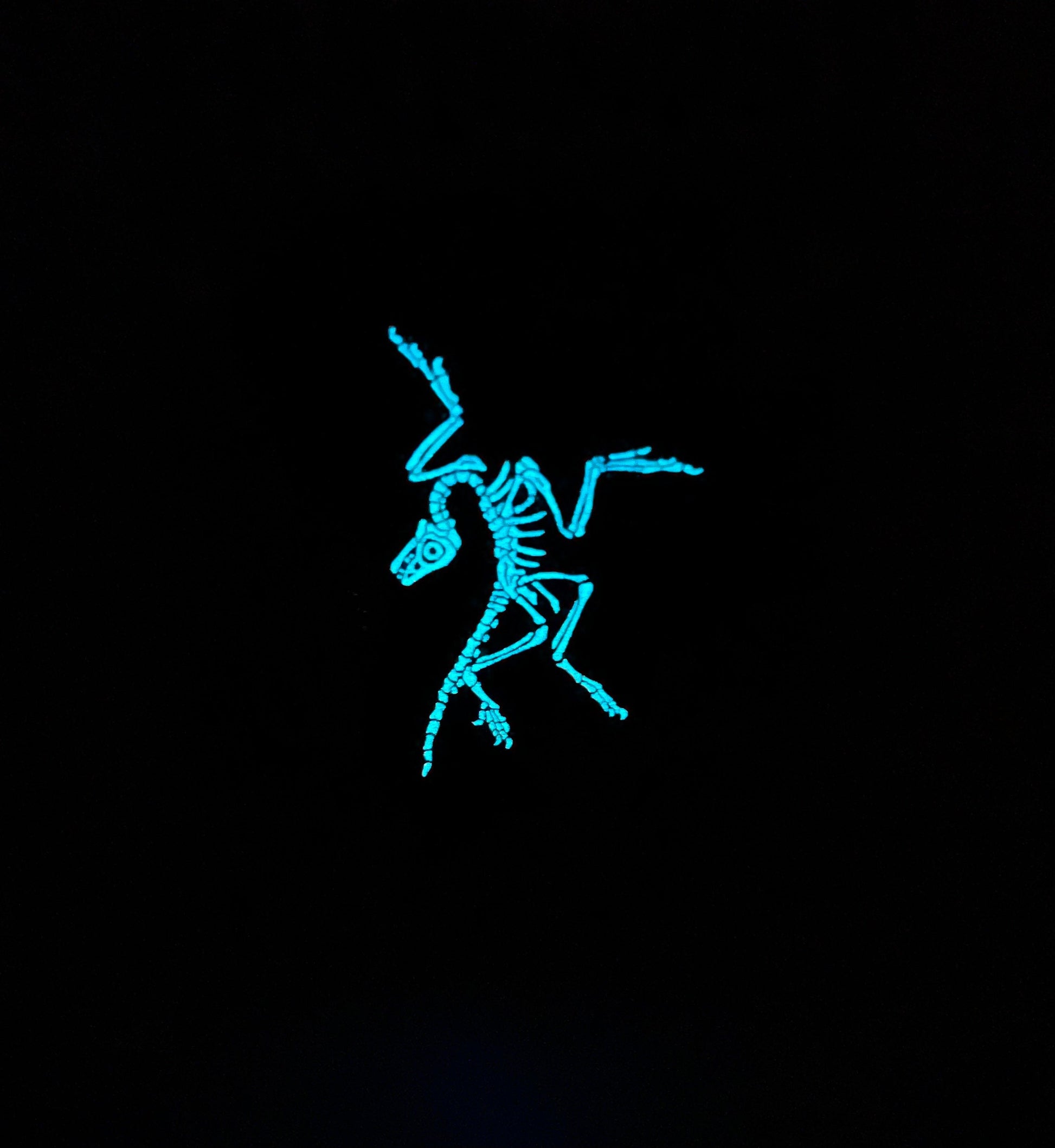 Archaeopteryx Soft Enamel Pin | Archaeopteryx Pin | Dinosaur Pin | Fossil Pin |