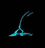 Pterodactyl Soft Enamel Pin | Dinosaur Pin | Fossil Pin