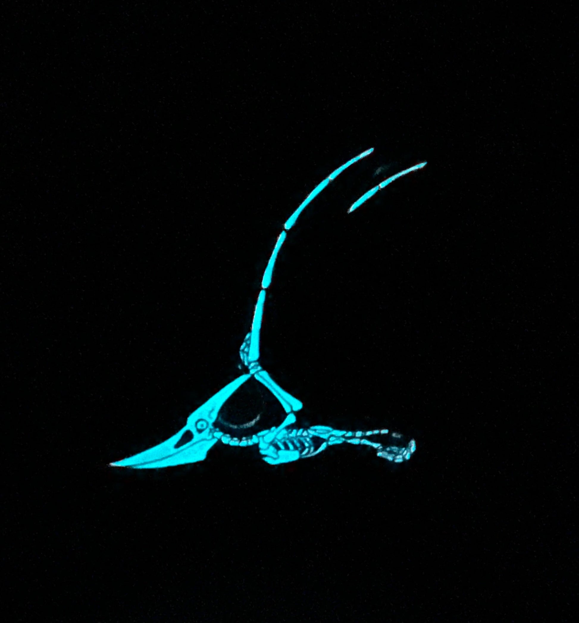 Pterodactyl Soft Enamel Pin | Dinosaur Pin | Fossil Pin
