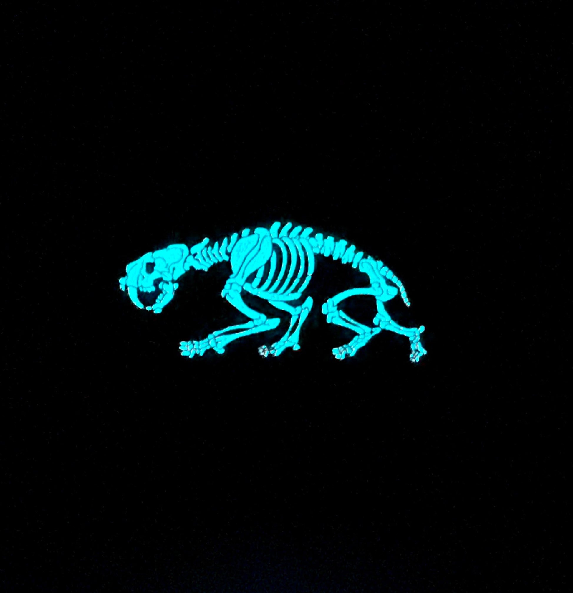 Smilodon Soft Enamel Pin | Sabertooth Tiger | Ice Age | Fossil