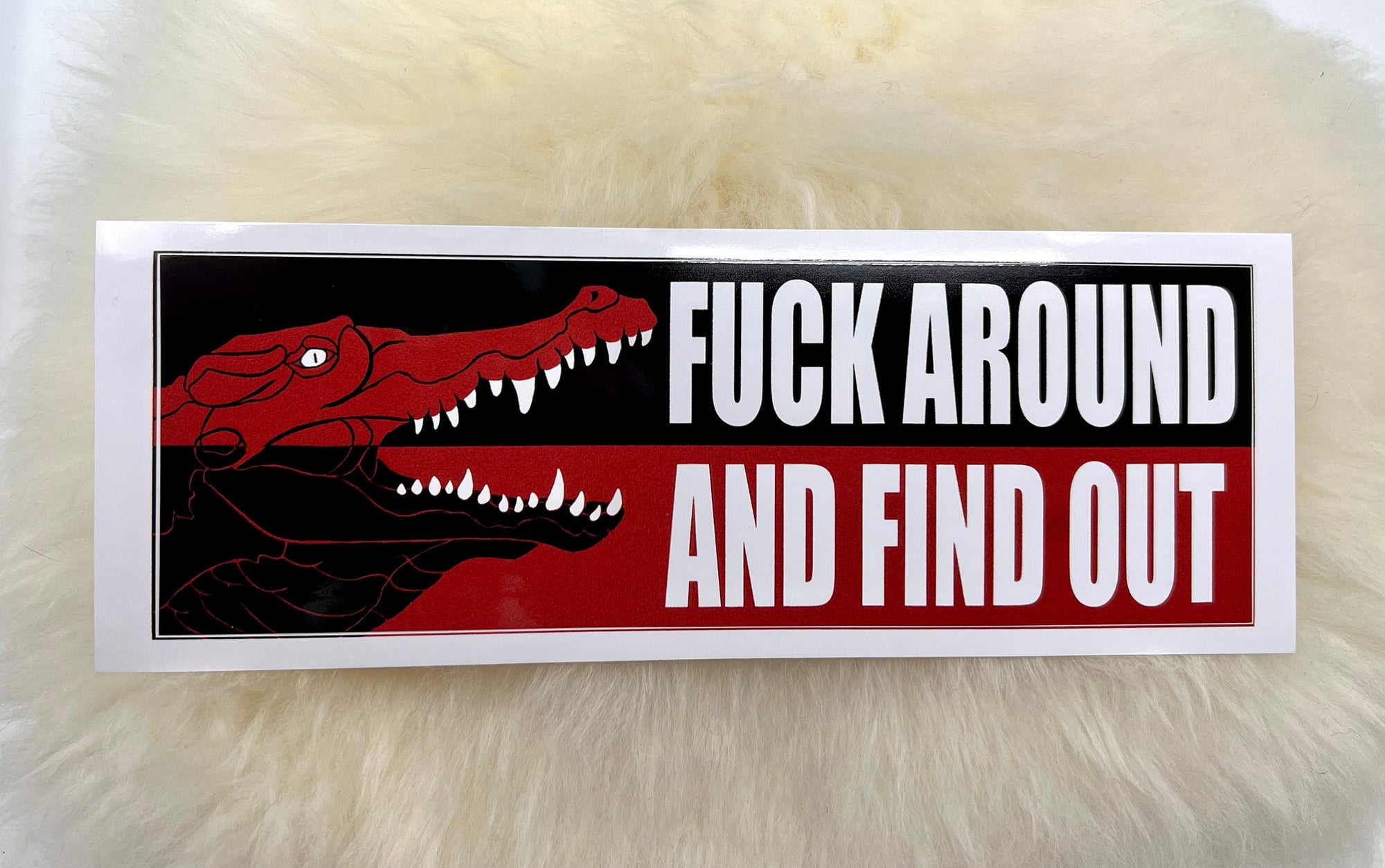 Fuck Around and Find Out Vinyl Bumper Sticker | Political Sticker | FREE SHIPPING