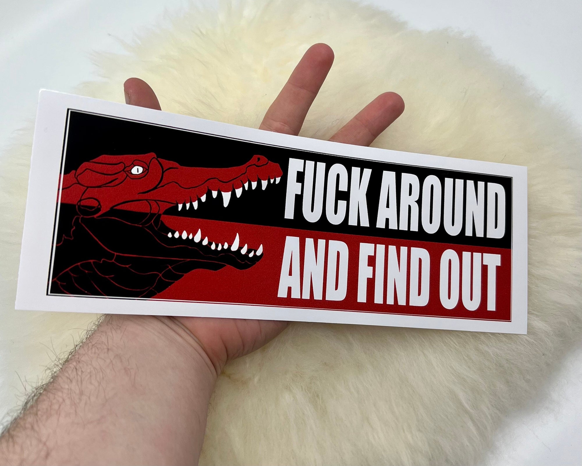 Fuck Around and Find Out Vinyl Bumper Sticker | Political Sticker | FREE SHIPPING