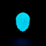 Trilobite Soft Enamel Pin | Trilobite Pin | Fossil Pin