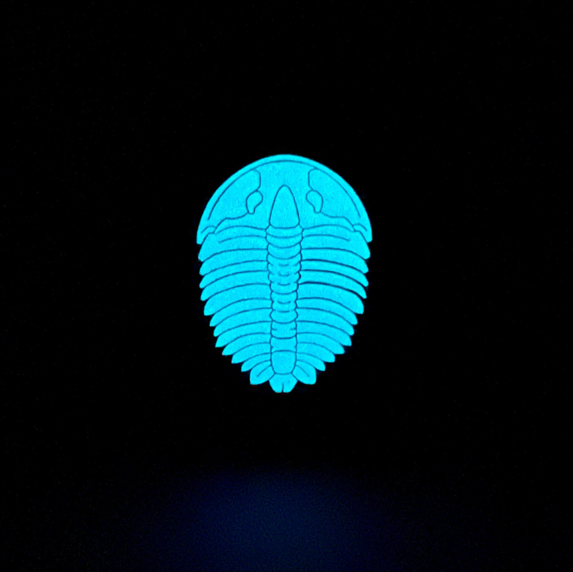 Trilobite Soft Enamel Pin | Trilobite Pin | Fossil Pin