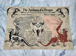 Anatomy of a Dragon Poster | Dragon Art | Anatomy Art | FREE SHIPPING