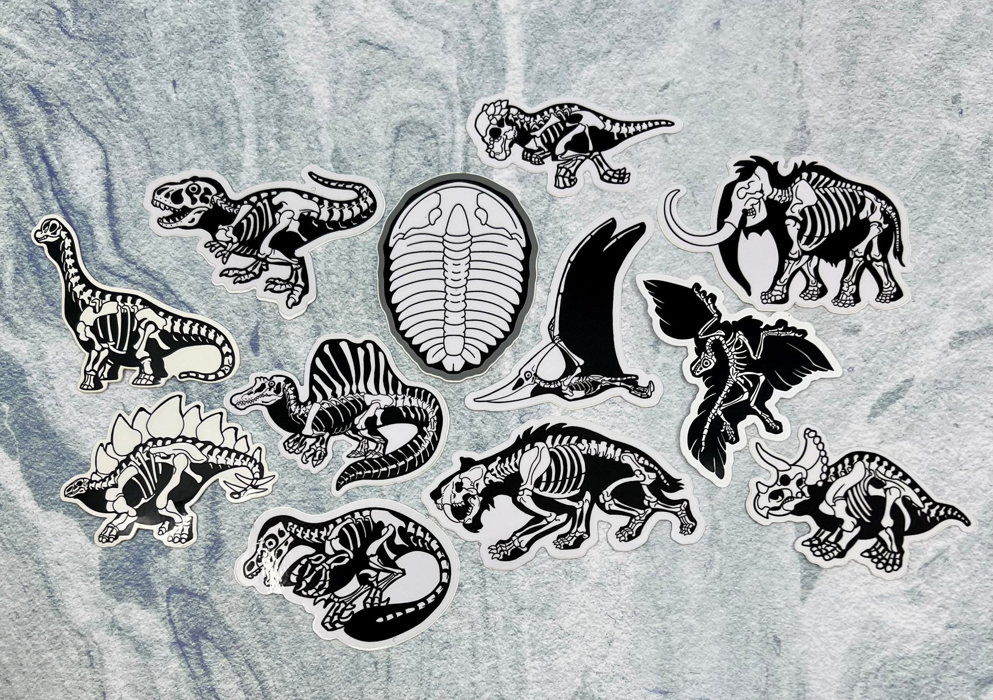 Dinosaur Vinyl Sticker | Fossil Stickers | Dinosaur Sticker | FREE SHIPPING