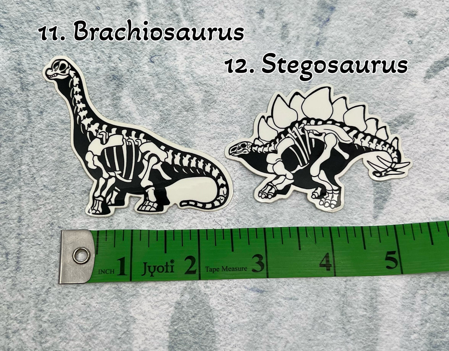 Dinosaur Vinyl Sticker | Fossil Stickers | Dinosaur Sticker | FREE SHIPPING