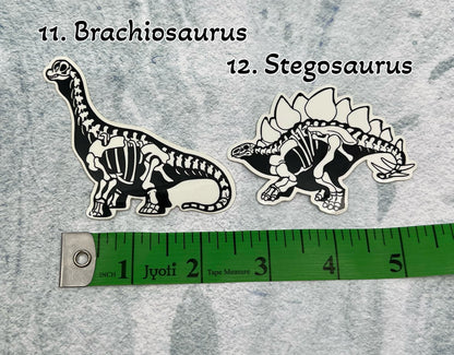 Dinosaur Vinyl Sticker | Fossil Stickers | Dinosaur Sticker | FREE SHIPPING