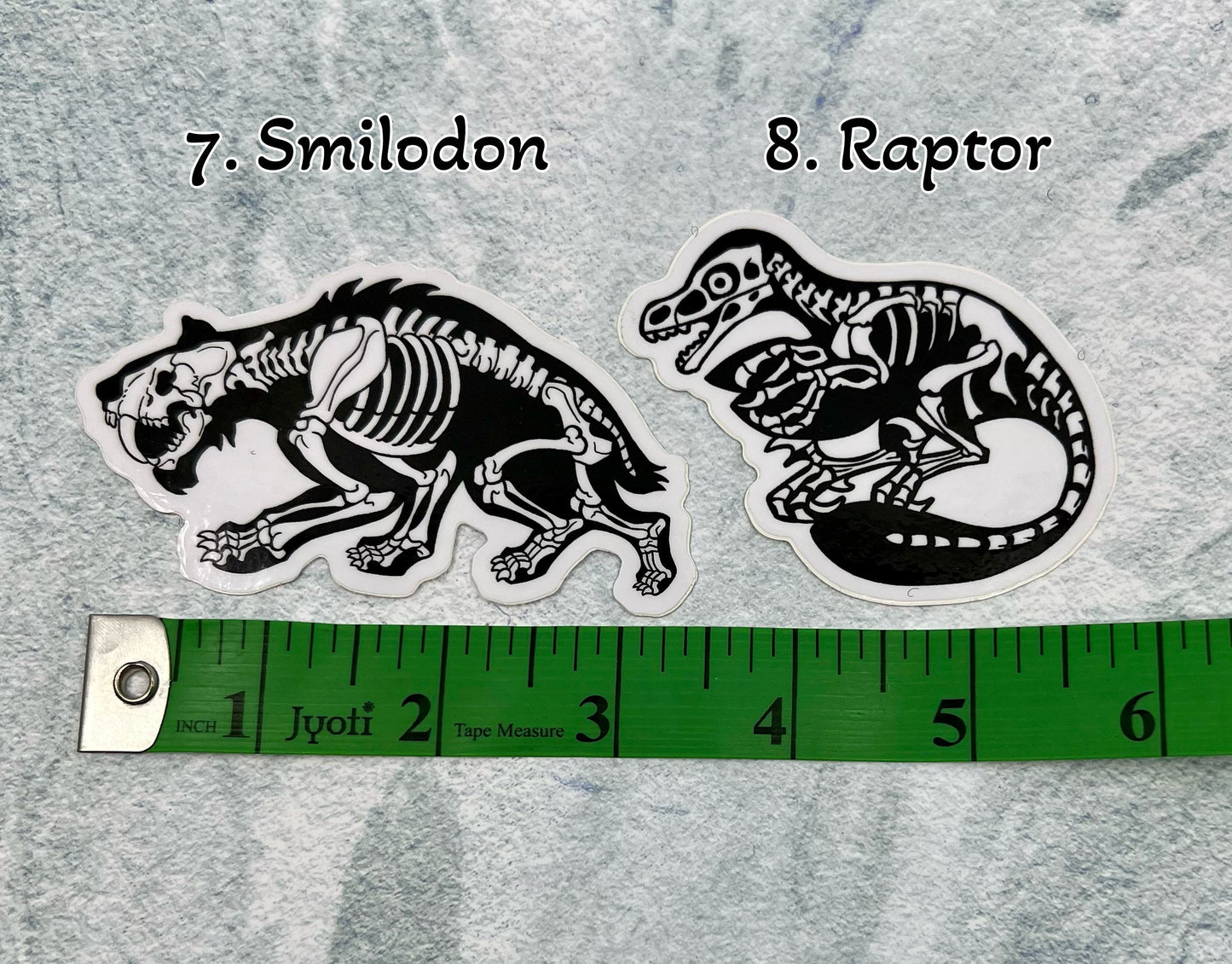 Dinosaur Vinyl Sticker | Fossil Stickers | Dinosaur Sticker | FREE SHIPPING