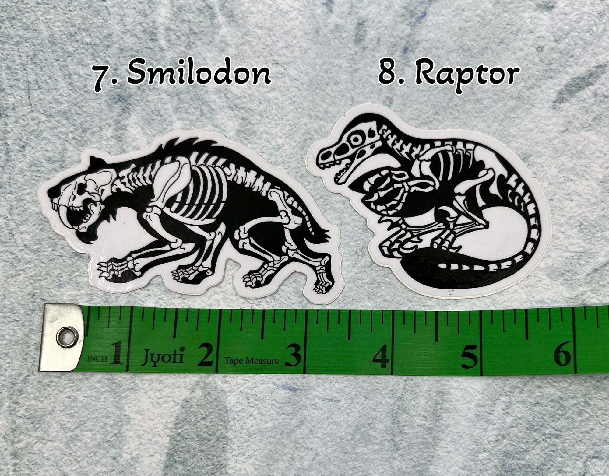 Dinosaur Vinyl Sticker | Fossil Stickers | Dinosaur Sticker | FREE SHIPPING
