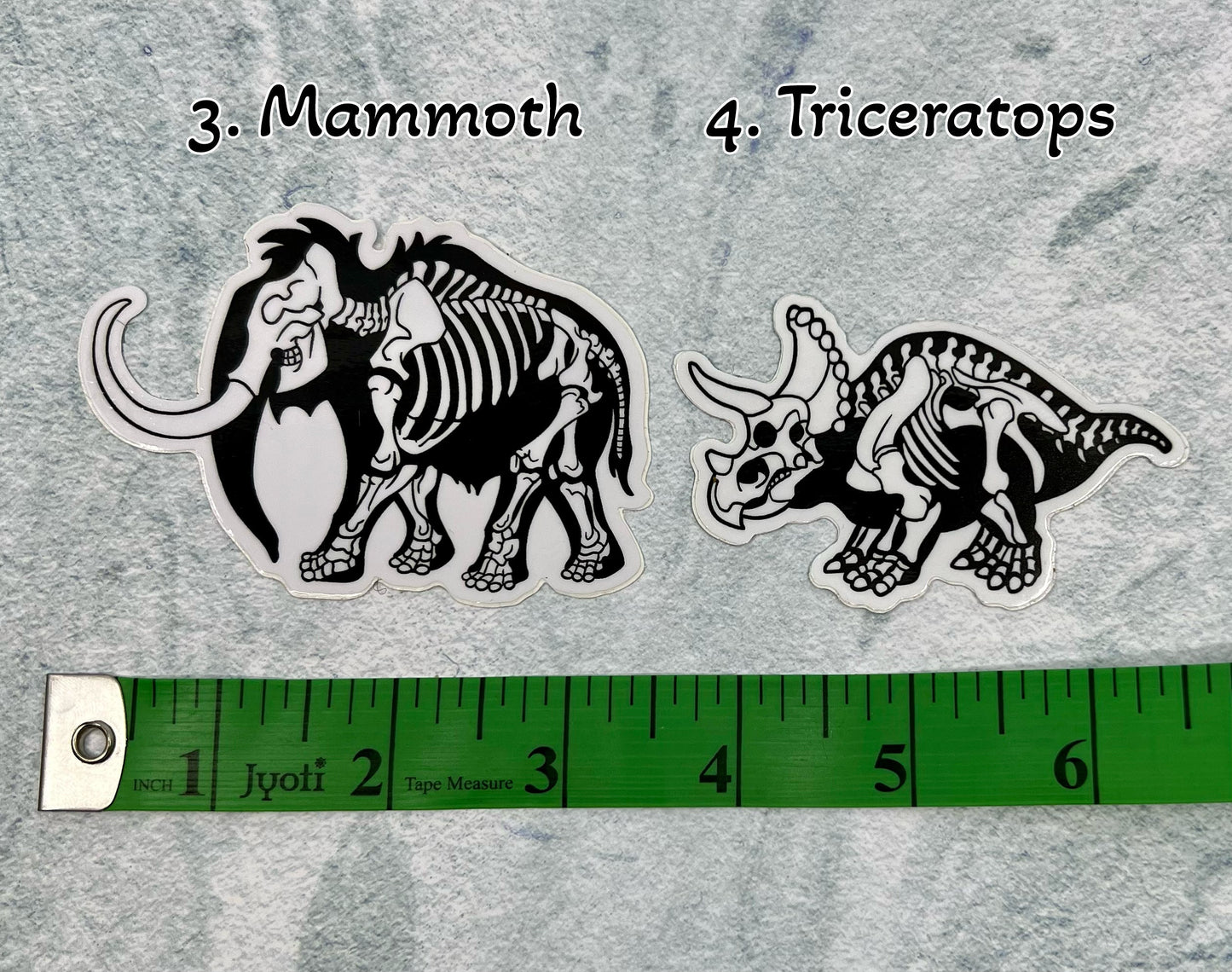 Dinosaur Vinyl Sticker | Fossil Stickers | Dinosaur Sticker | FREE SHIPPING