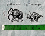 Dinosaur Vinyl Sticker | Fossil Stickers | Dinosaur Sticker | FREE SHIPPING