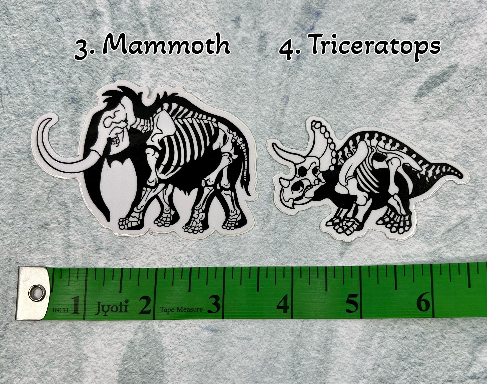 Dinosaur Vinyl Sticker | Fossil Stickers | Dinosaur Sticker | FREE SHIPPING