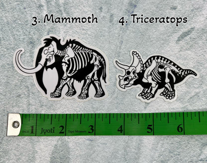 Dinosaur Vinyl Sticker | Fossil Stickers | Dinosaur Sticker | FREE SHIPPING