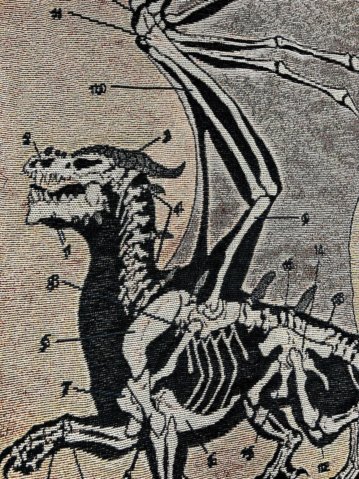 The Anatomy of a Dragon Tapestry / Blanket | Dragon Blanket | Fantasy Art | FREE SHIPPING