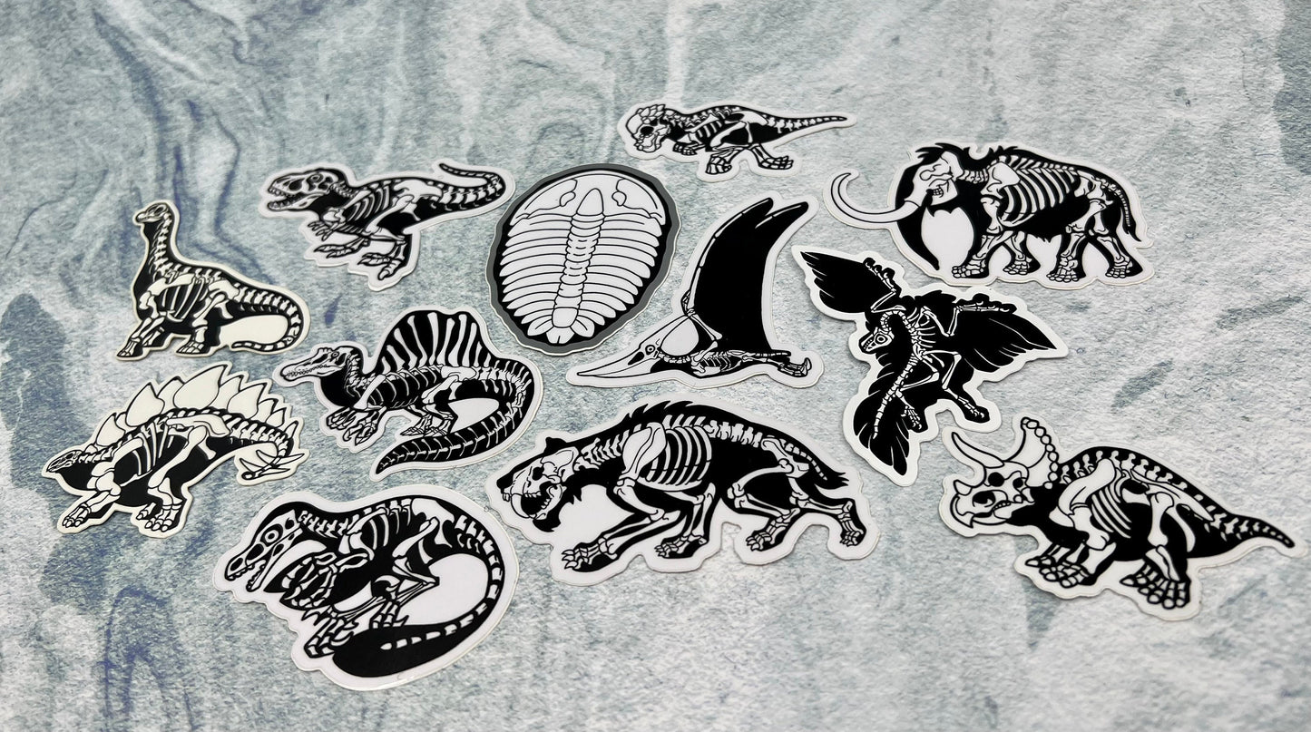 Dinosaur Vinyl Sticker | Fossil Stickers | Dinosaur Sticker | FREE SHIPPING