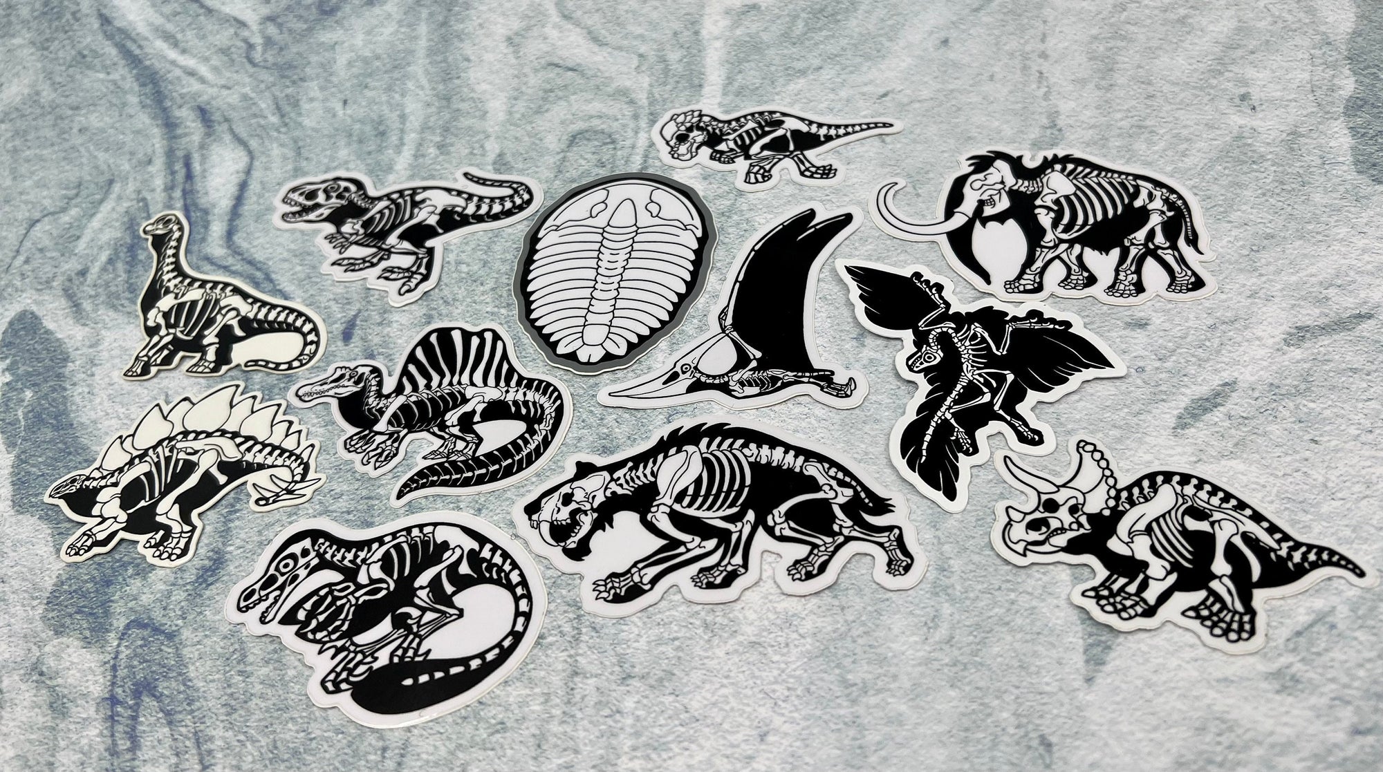 Dinosaur Vinyl Sticker | Fossil Stickers | Dinosaur Sticker | FREE SHIPPING
