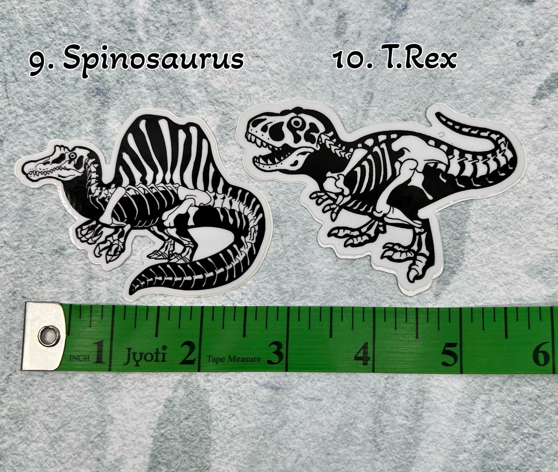 Dinosaur Vinyl Sticker | Fossil Stickers | Dinosaur Sticker | FREE SHIPPING