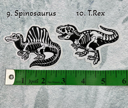 Dinosaur Vinyl Sticker | Fossil Stickers | Dinosaur Sticker | FREE SHIPPING