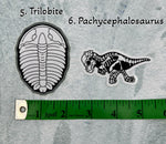 Dinosaur Vinyl Sticker | Fossil Stickers | Dinosaur Sticker | FREE SHIPPING