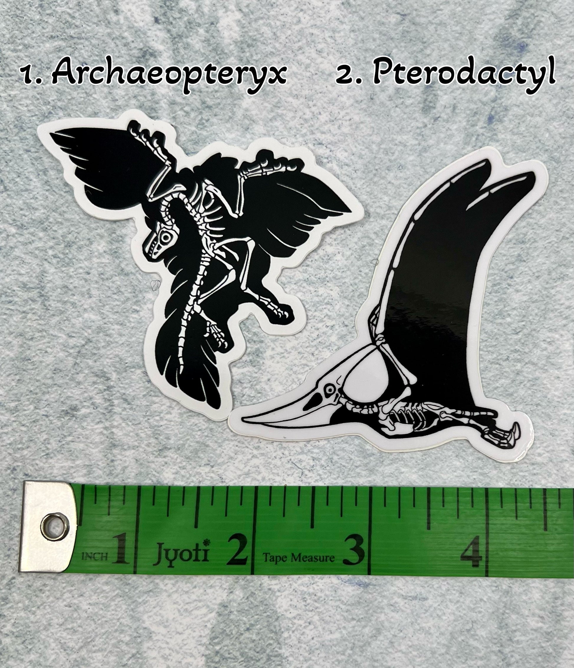 Dinosaur Vinyl Sticker | Fossil Stickers | Dinosaur Sticker | FREE SHIPPING