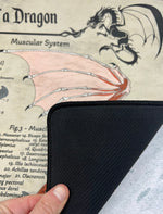Dragon Playmat | TTRPG Tabletop Mat | Anatomy of a Dragon | FREE SHIPPING