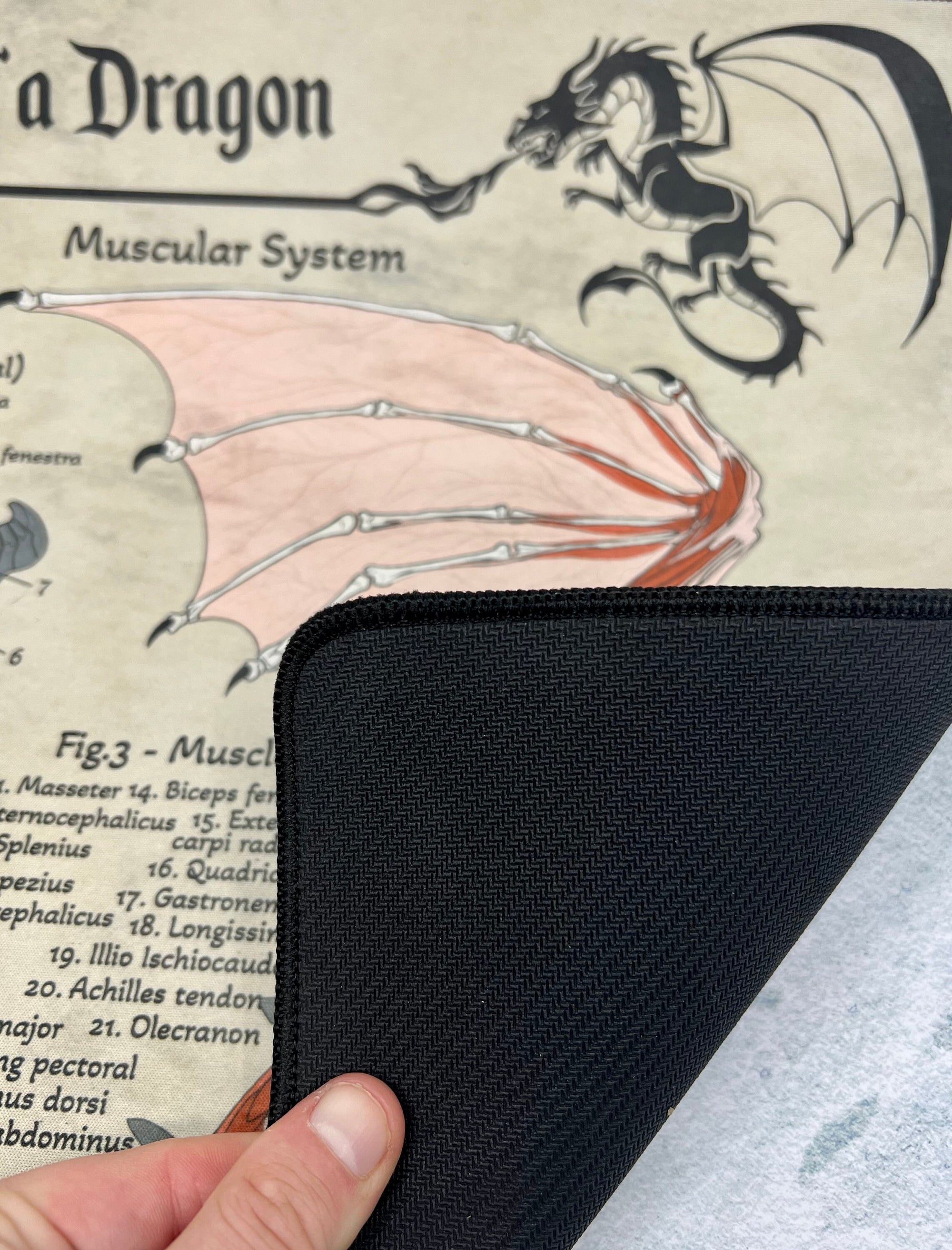 Dragon Playmat | TTRPG Tabletop Mat | Anatomy of a Dragon | FREE SHIPPING