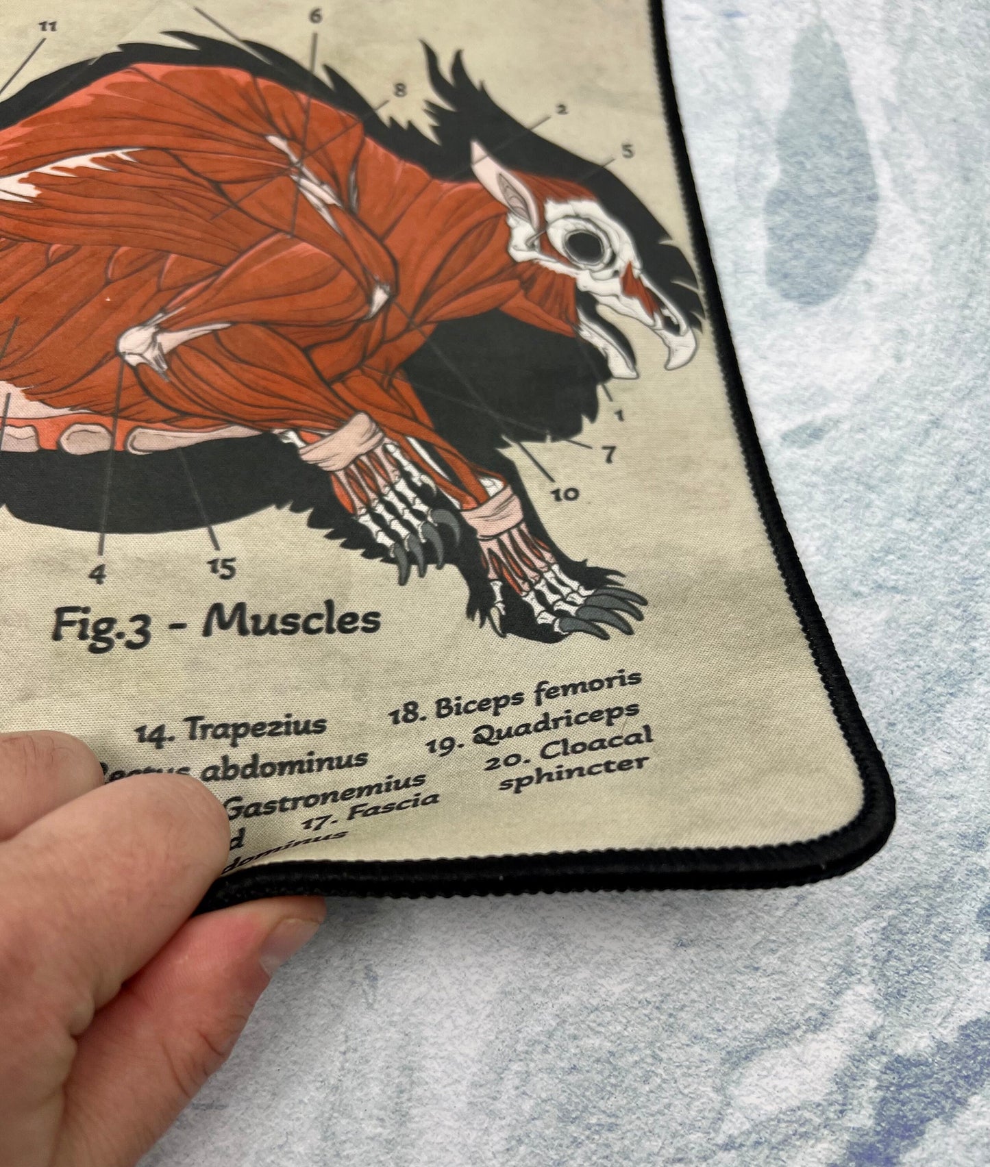 Owlbear Playmat | TTRPG Tabletop Mat | Anatomy of an Owlbear | FREE SHIPPING