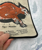 Owlbear Playmat | TTRPG Tabletop Mat | Anatomy of an Owlbear | FREE SHIPPING