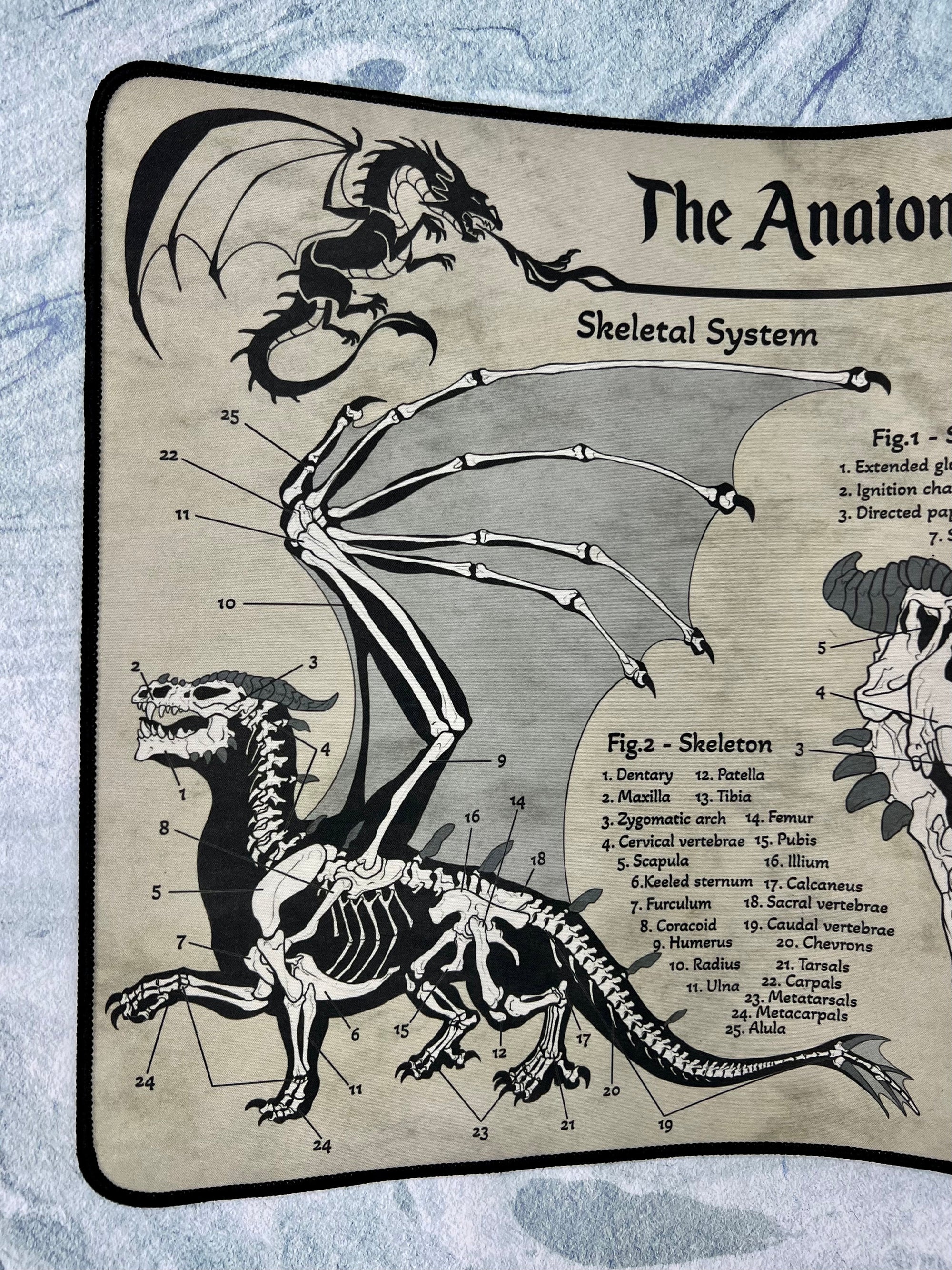 Dragon Playmat | TTRPG Tabletop Mat | Anatomy of a Dragon | FREE SHIPPING