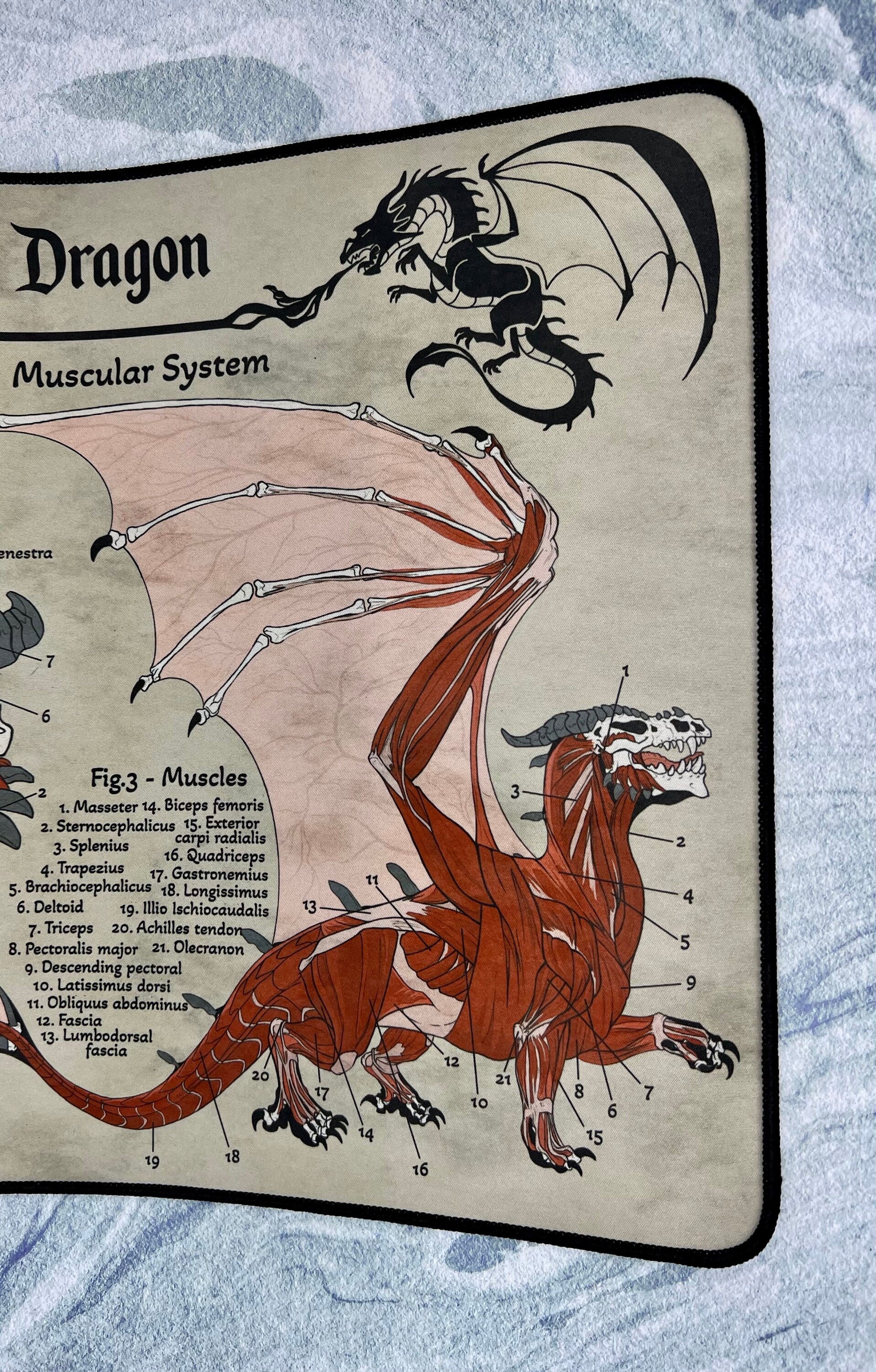 Dragon Playmat | TTRPG Tabletop Mat | Anatomy of a Dragon | FREE SHIPPING
