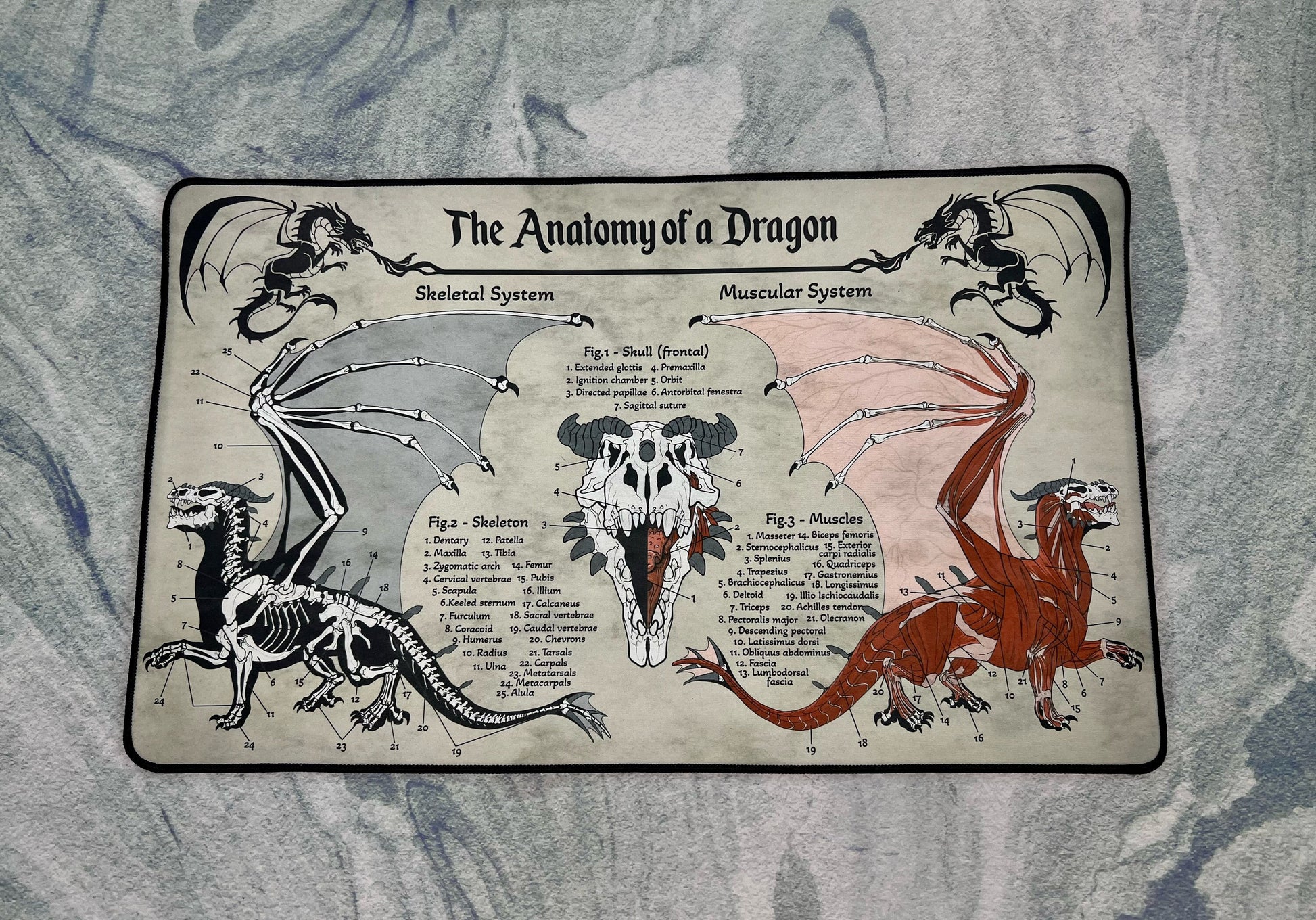 Dragon Playmat | TTRPG Tabletop Mat | Anatomy of a Dragon | FREE SHIPPING
