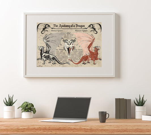 Anatomy of a Dragon Poster | Dragon Art | Anatomy Art | FREE SHIPPING