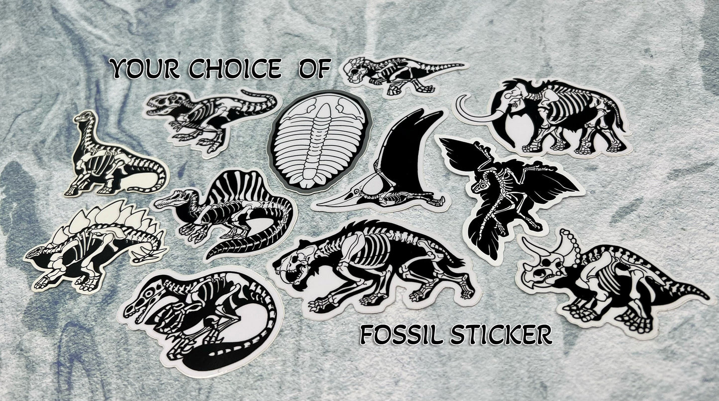 Dinosaur Vinyl Sticker | Fossil Stickers | Dinosaur Sticker | FREE SHIPPING
