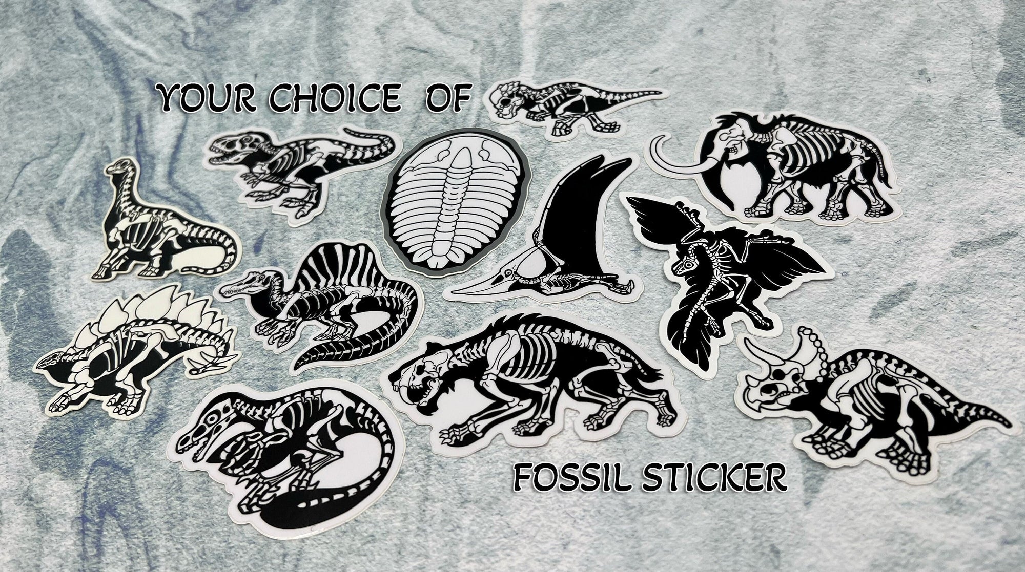 Dinosaur Vinyl Sticker | Fossil Stickers | Dinosaur Sticker | FREE SHIPPING
